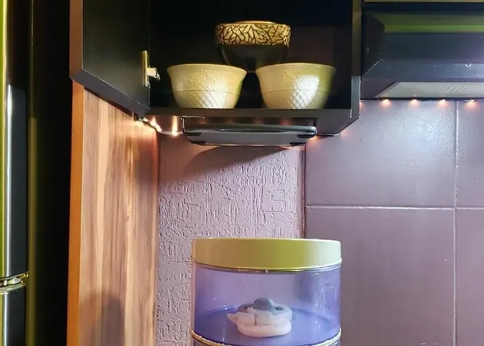 Apartamento Furnished In Cdmx México DF